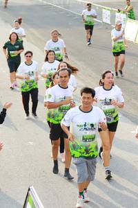 BIB: 
                            <button type="button" onclick="openModal(3552629)" class="btn btn-primary btn-sm float-right btn-popup" data-toggle="modal" data-target=".modal-high-quality">
                        <i class="fas fa-shopping-cart"></i> Add to Cart
                    </button>
                                            <button type="button" onclick="isThisMe(3552629, true)" class="btn btn-success btn-sm float-right btn-popup btn-isme hidden" data-toggle="tooltip" data-placement="bottom" title="นี่คือรูปของคุณใช่ไหม คลิกที่นี่เพื่อเอาเข้าอัลบั้ม">
                        <i class="fas fa-plus"></i> Add to album
                    </button>
                    <button type="button" onclick="isThisMe(3552629, false)" class="btn btn-warning btn-sm float-right btn-popup btn-isnotme hidden">
                        <i class="fas fa-ban"></i> Remove from album
                    </button>